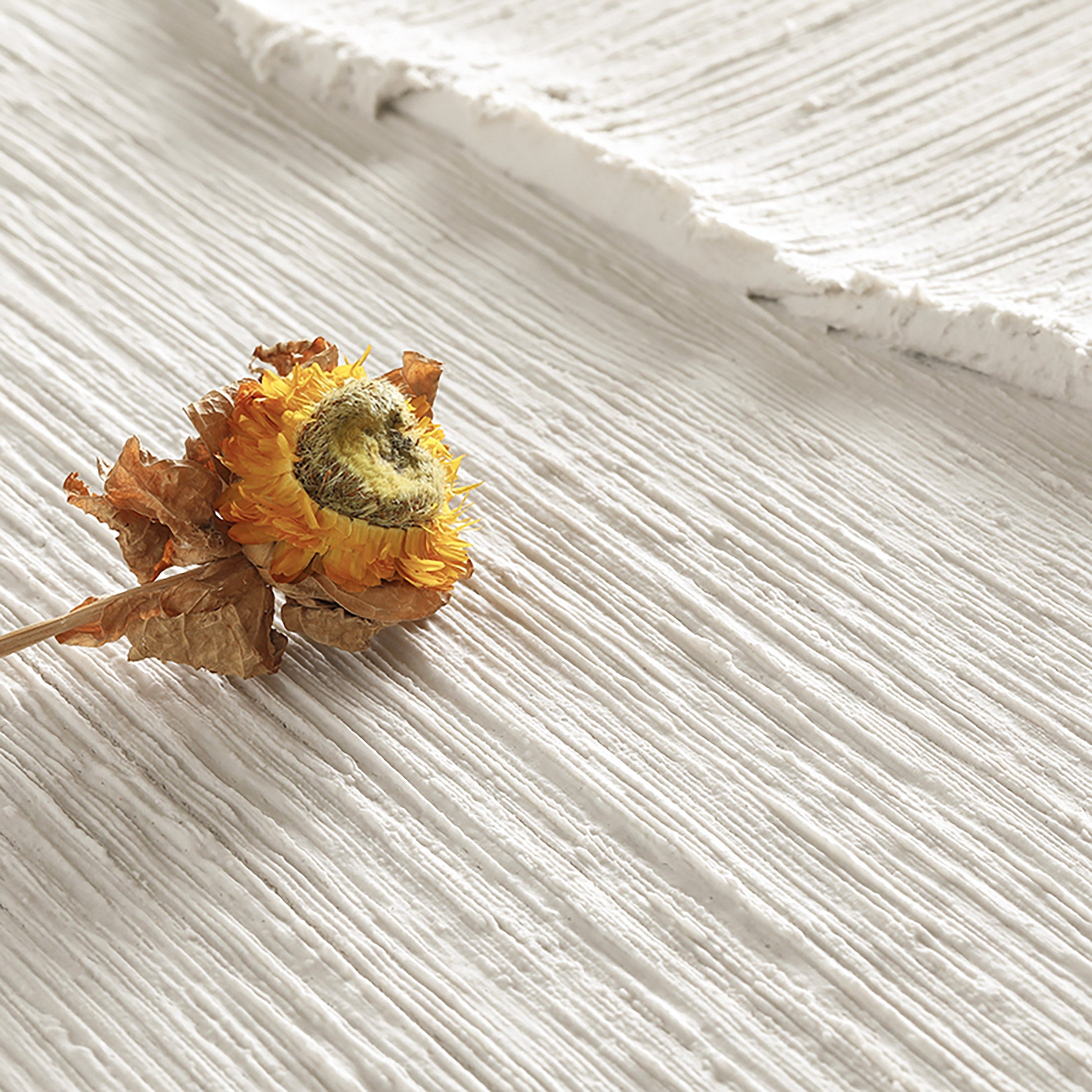 White Minimalist Painting #WM 013