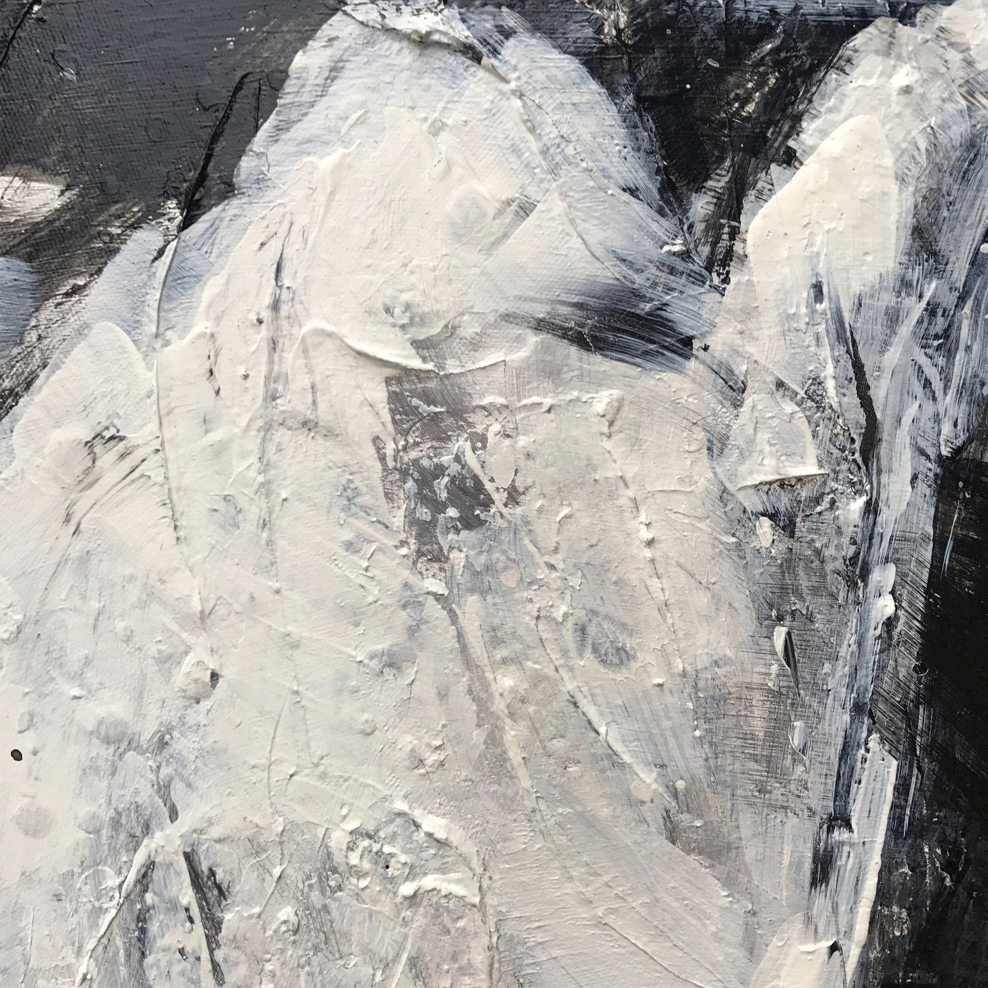 White Horse Abstract Portrait Painting #ANH24