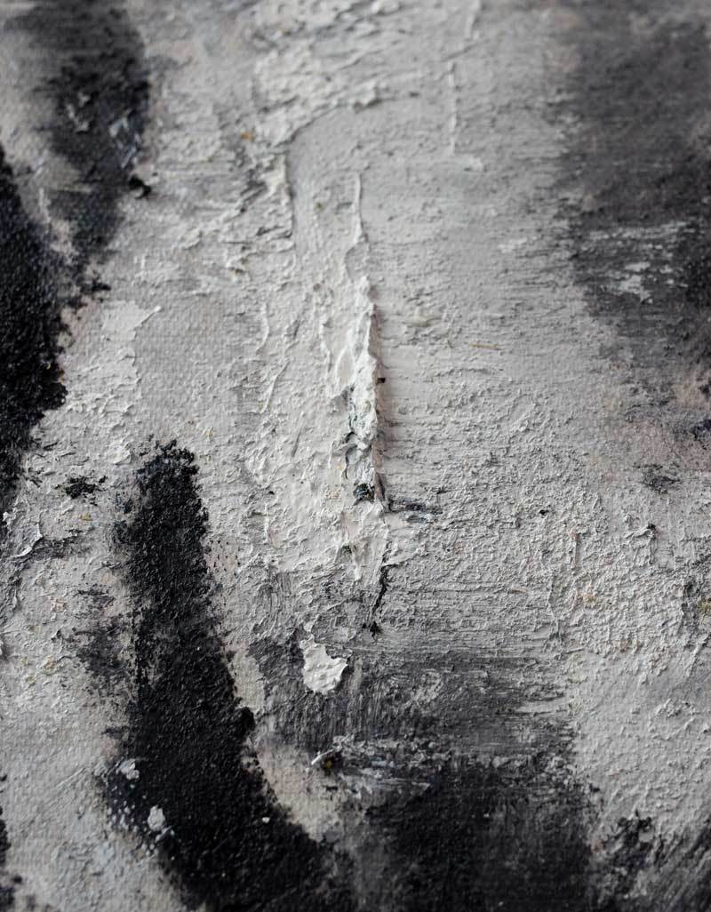 Grey White Abstract Horse Art #ANH02